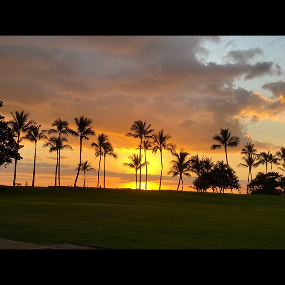 Meet your Posher, Char - Picture 4 of 16